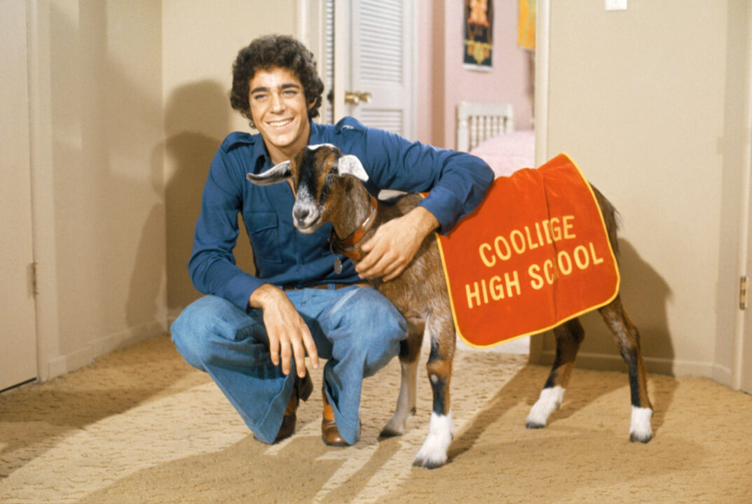 photo from "Getting Greg's Goat," a 1973 episode of "The Brady Bunch." It shows star Barry Williams as Greg Brady, wearing '70s era jeans and a long-sleeved blue shirt. He is crouched down and smiling, with his left arm gently cradling the neck and shoulders of a goat that is wearing a blanket reading: "Coolidge High School"