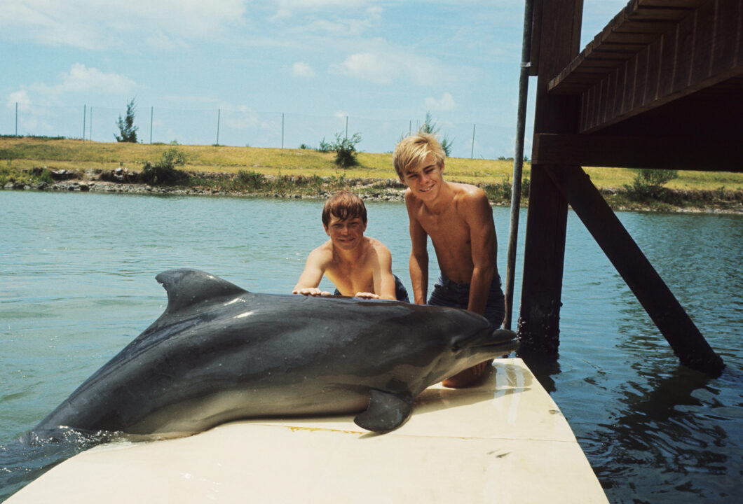 FLIPPER, Flipper, Luke Halpin, Tommy Norden, 1964-68