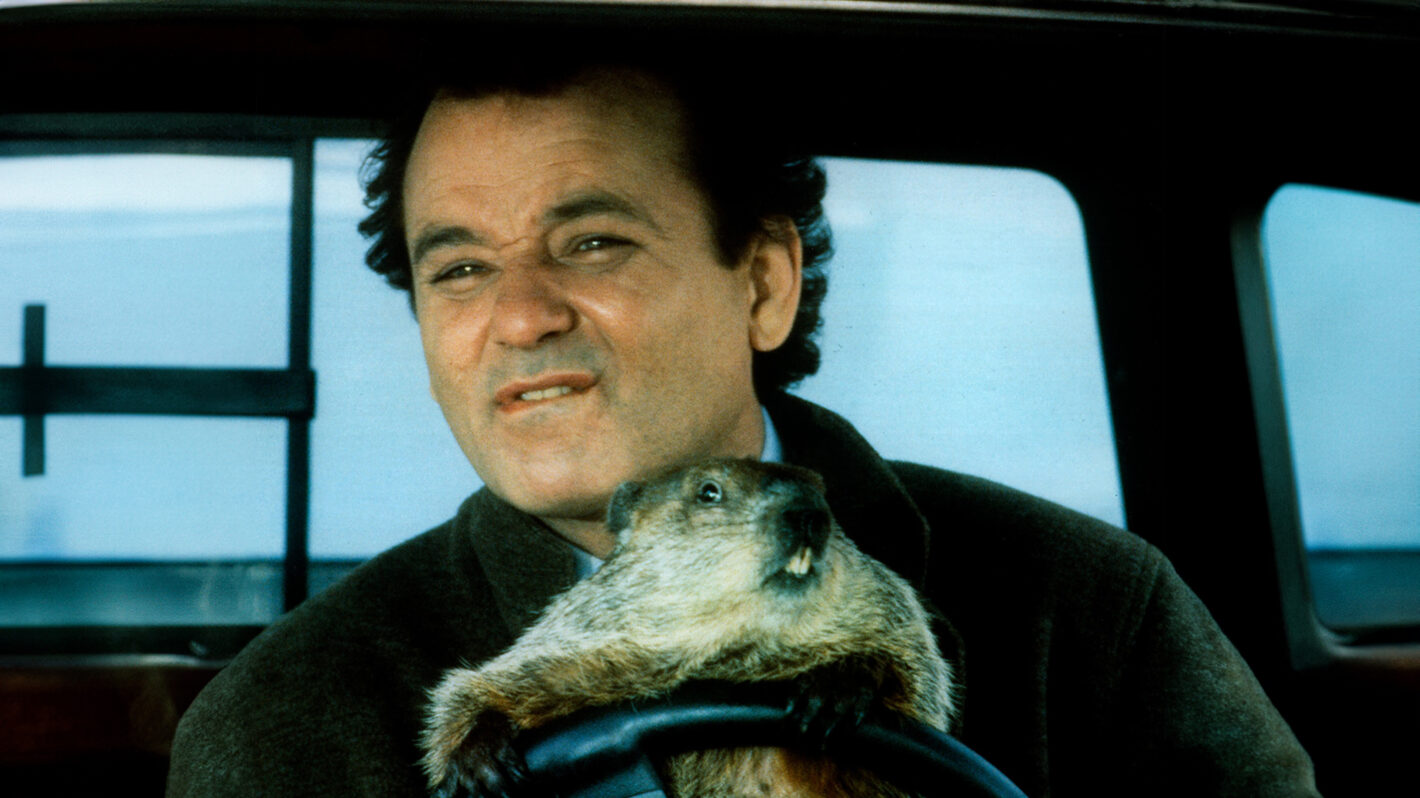 Secret History Of Groundhog Day And Immortal Punxsutawney Phil Bizarre Facts About The Bill