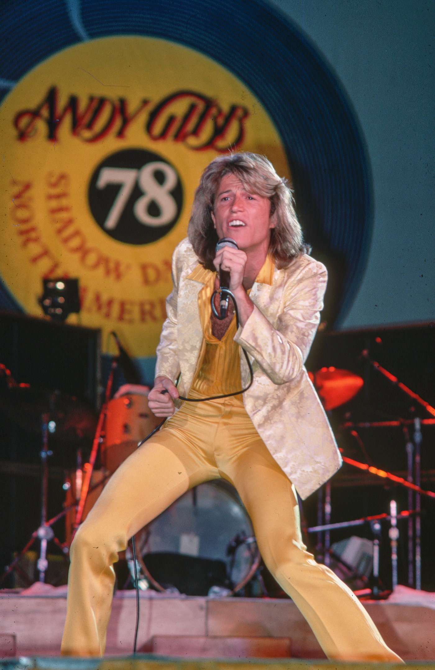 5 Things You Didn't Know About Andy Gibb, Teen Idol and Bee Gees ...