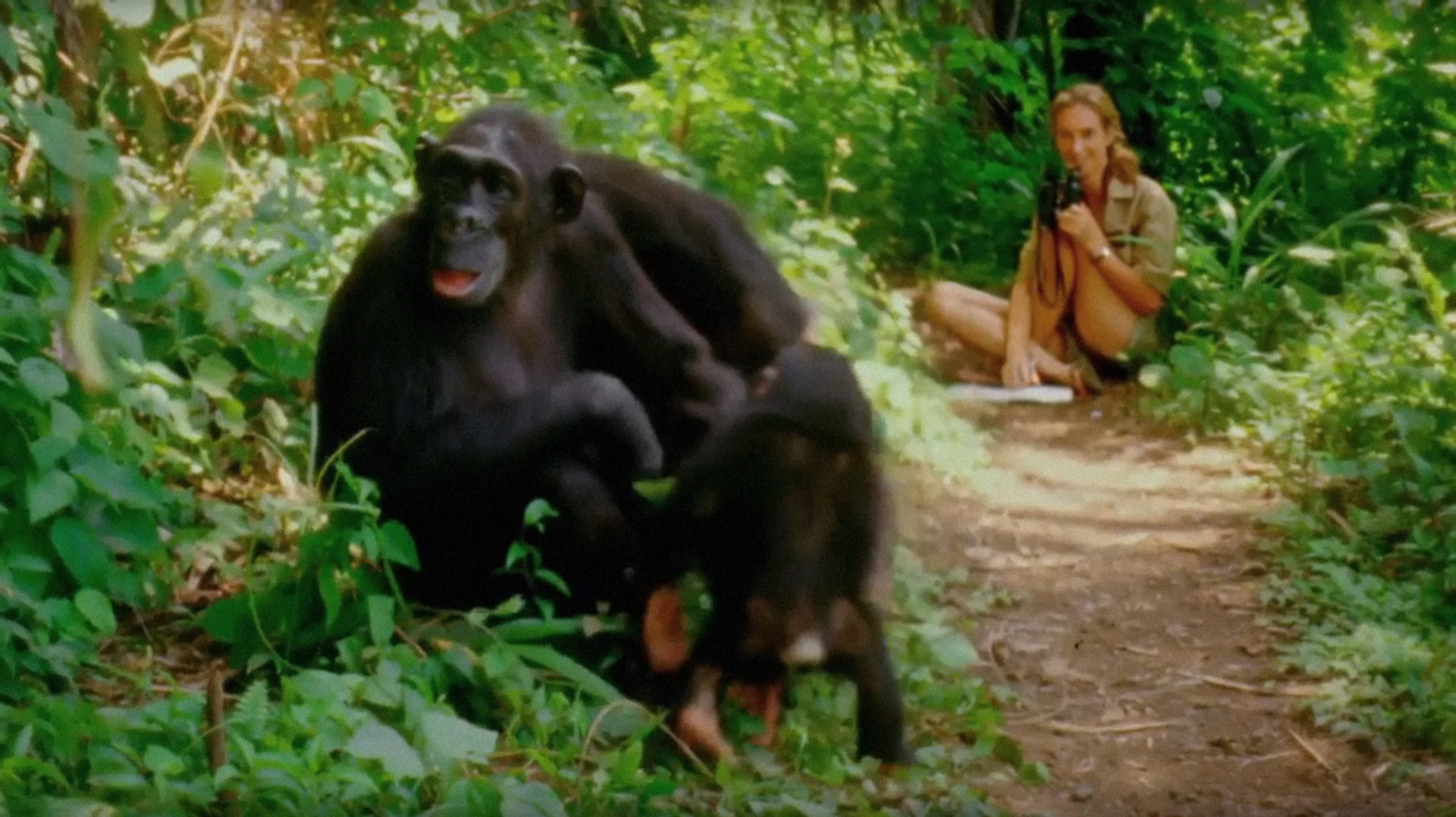 90-Year-Old Jane Goodall Shares How She Stays Hopeful About the State ...