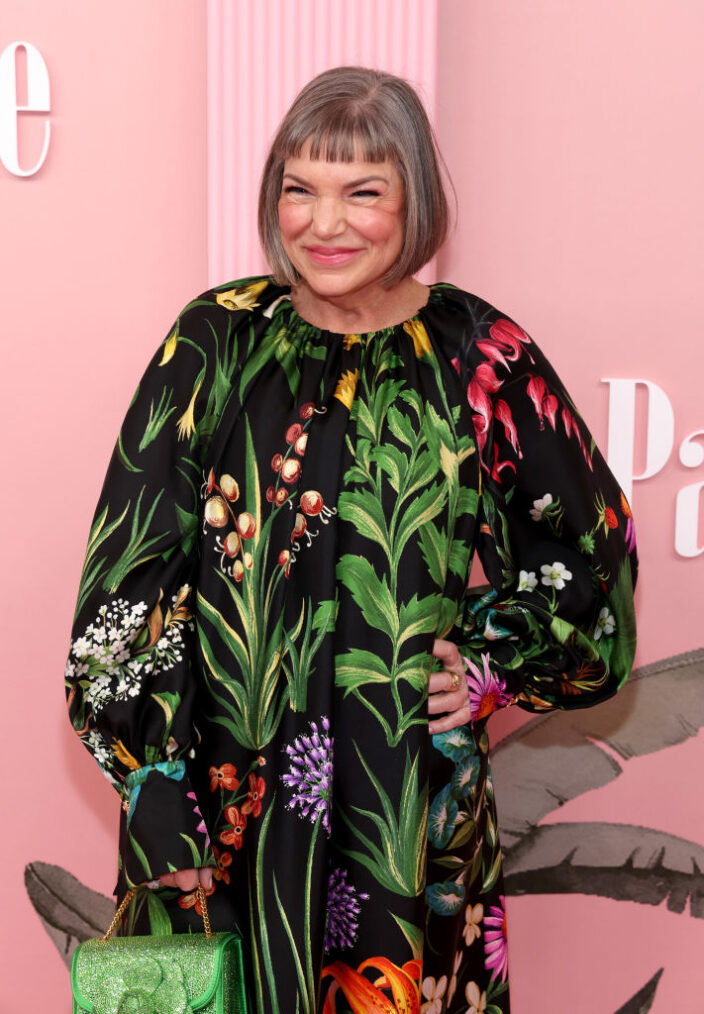 Mindy Cohn Talks Career Resurgence 45 Years After The Facts Of Life 5556