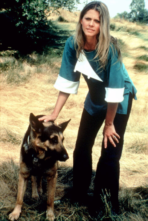 THE BIONIC WOMAN, Lindsay Wagner, 'The Bionic Dog, Part I and II', (Season 3, aired Sept. 10 & 17th, 1977), 1976-1978
