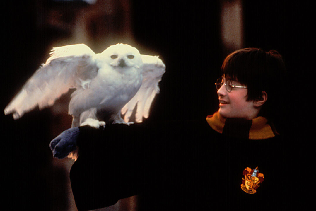 Harry Potter and the Sorcerer's Stone Daniel Radcliffe, 2001