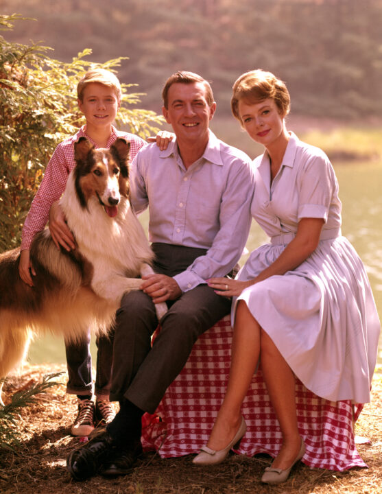 LASSIE, Lassie, Jon Provost, Hugh Reilly, June Lockhart, 1954-1974