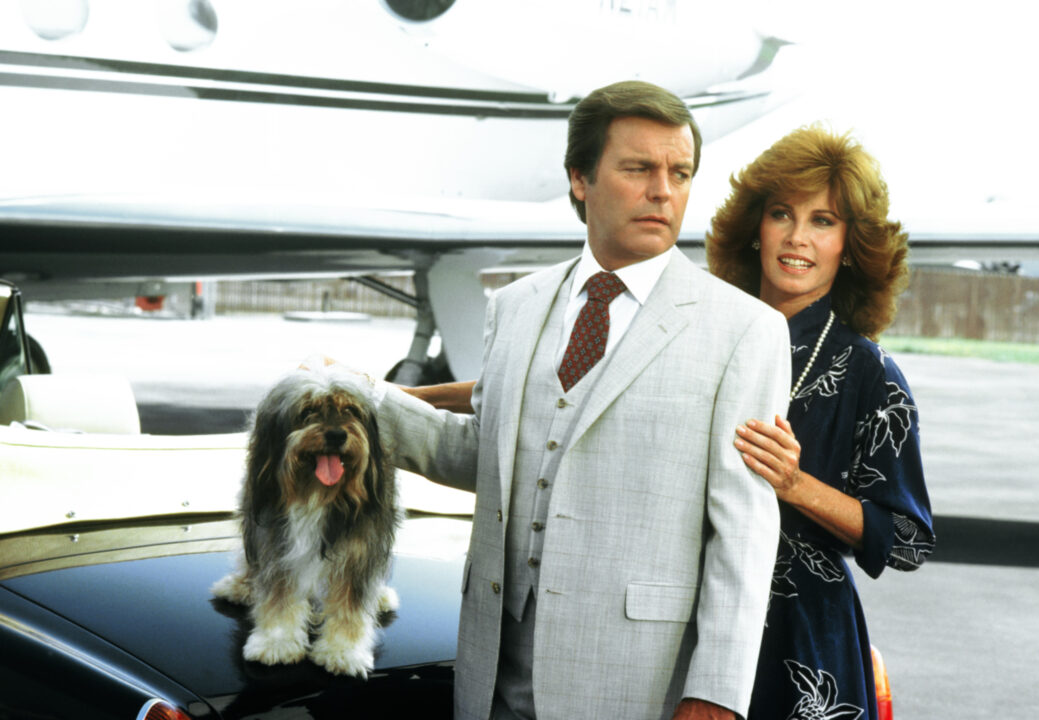 Robert Wagner and Stefanie Powers in 'Hart to Hart'