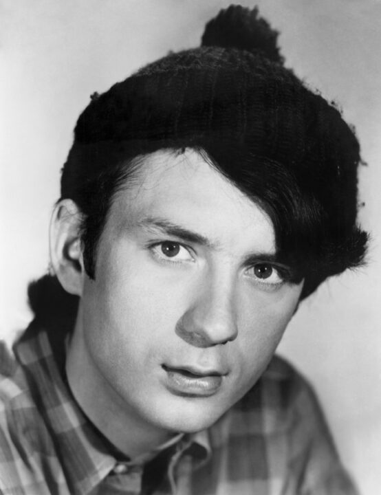 THE MONKEES, Mike Nesmith, 1966-1968