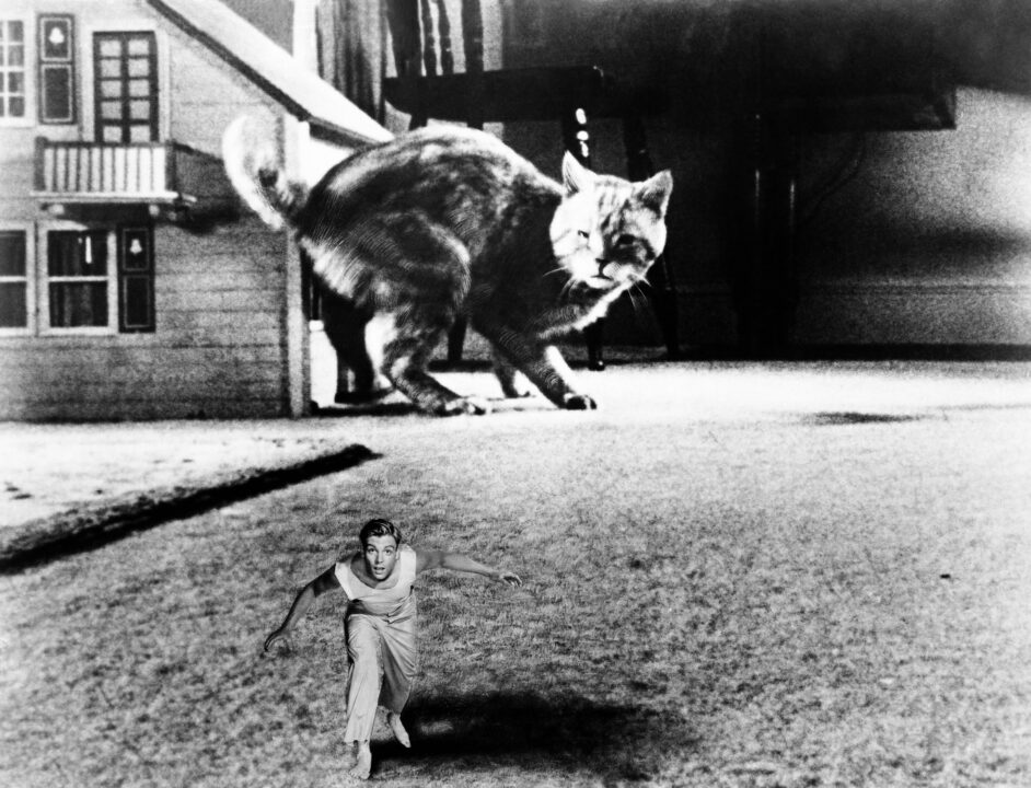 THE INCREDIBLE SHRINKING MAN, Grant Williams, 1957