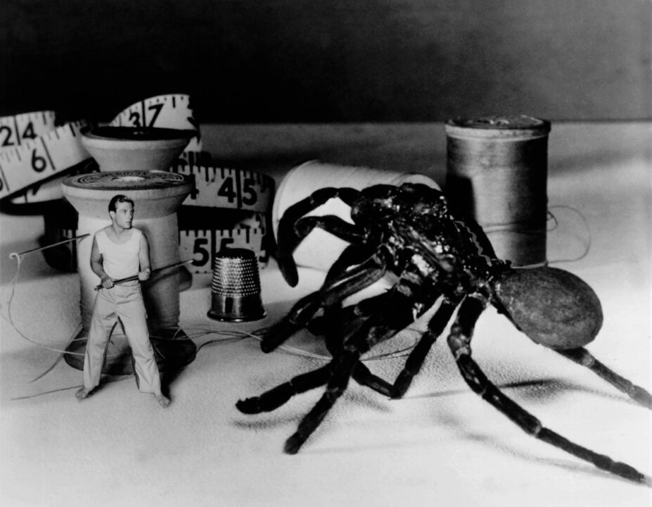 a man fights a spider in THE INCREDIBLE SHRINKING MAN, Grant Williams, 1957 ISMN 035P(19153) 