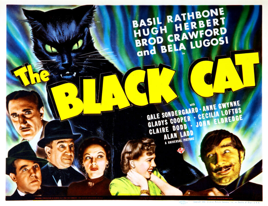 THE BLACK CAT, (from left): Broderick Crawford, Basil Rathbone, Hugh Herbert, Gale Sondergaard, Anne Gwynne, Bela Lugosi, 1941.