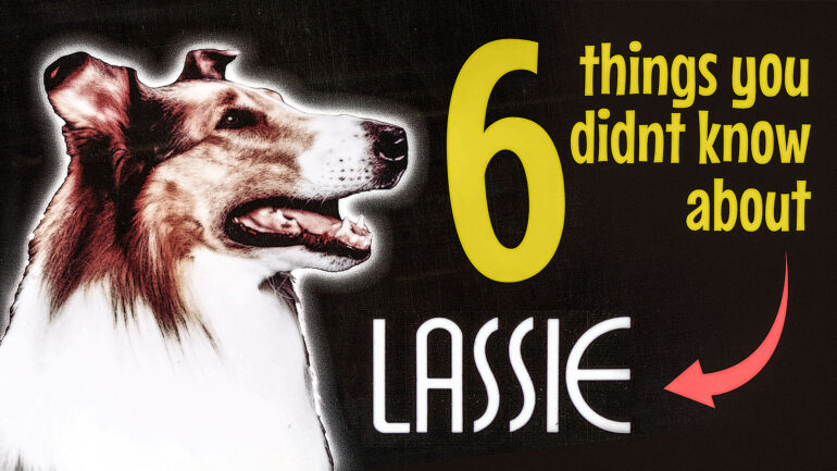 LASSIE, Lassie, 1951-1971