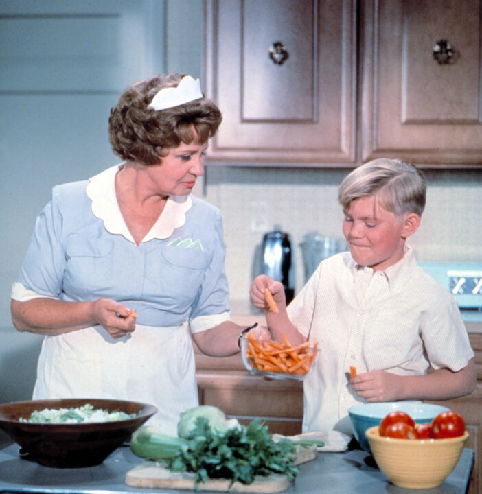 HAZEL, Shirley Booth, Bobby Buntrock, 1961-66