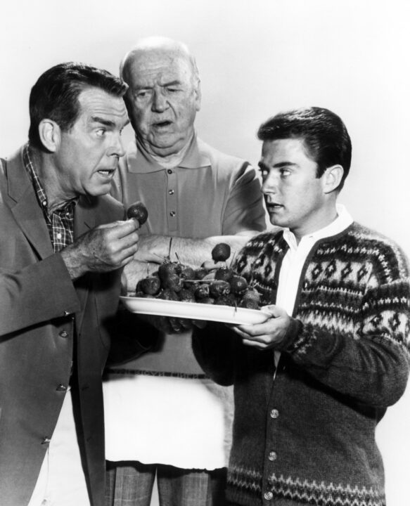 MY THREE SONS, Fred MacMurray, William Frawley, Tim Considine, (Season 5), 1960-72