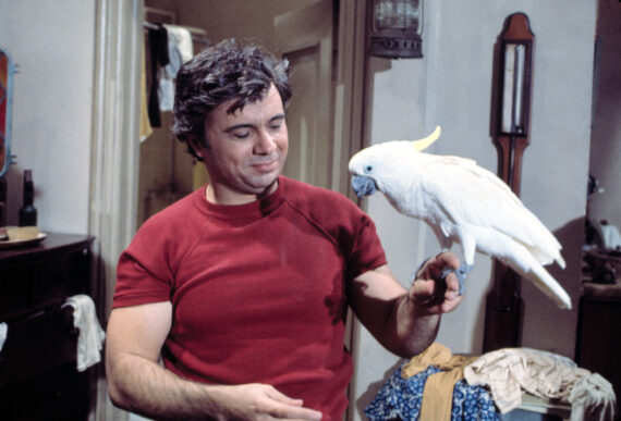 What Happened to Fred the Cockatoo from 'Baretta'?