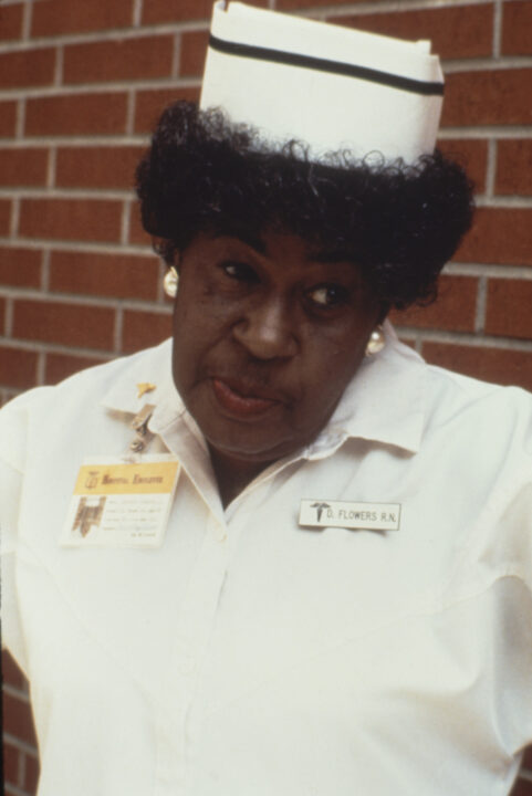 THE METEOR MAN, LaWanda Page, 1993