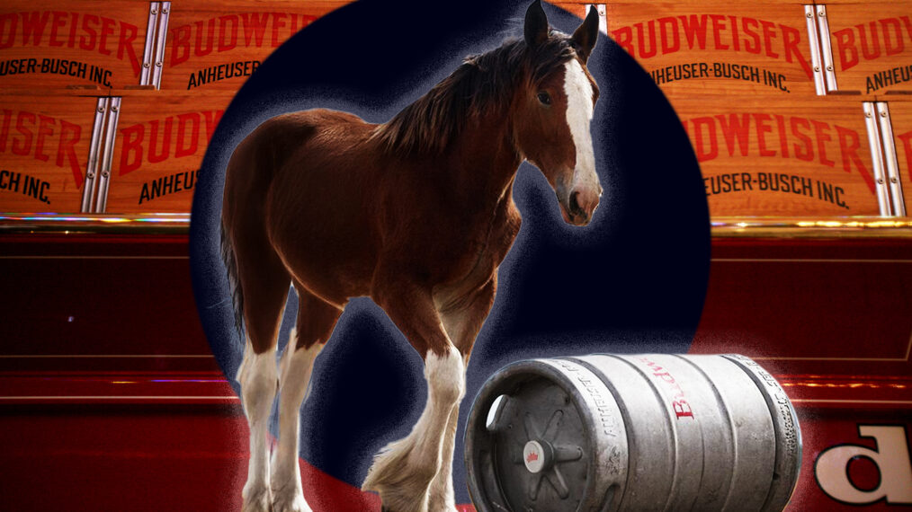 beer cases are seen on display inside a stable for the Budweiser Clydesdalescollage